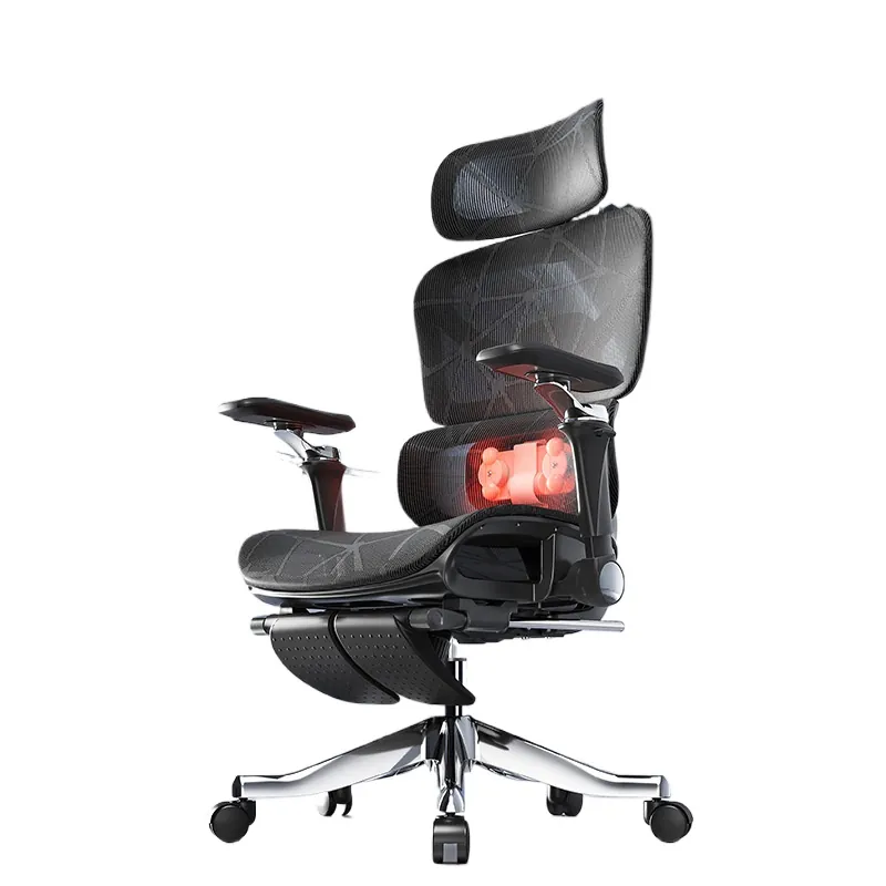Ergonomic Massage Lumbar Suppo - Home Office Chair review and price
