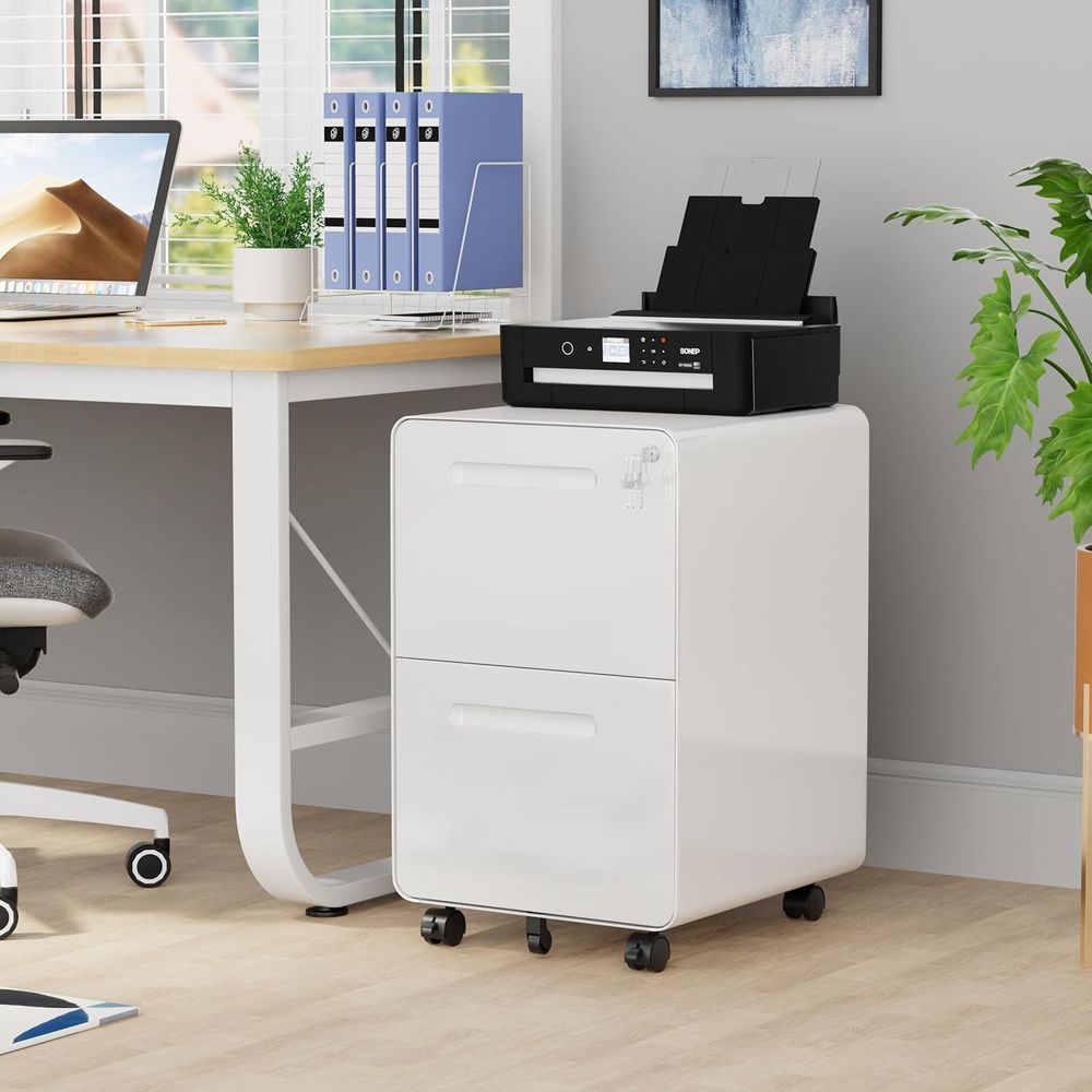 2-Drawer Metal Filing Cabinet  - File Cabinet Drawer review and price