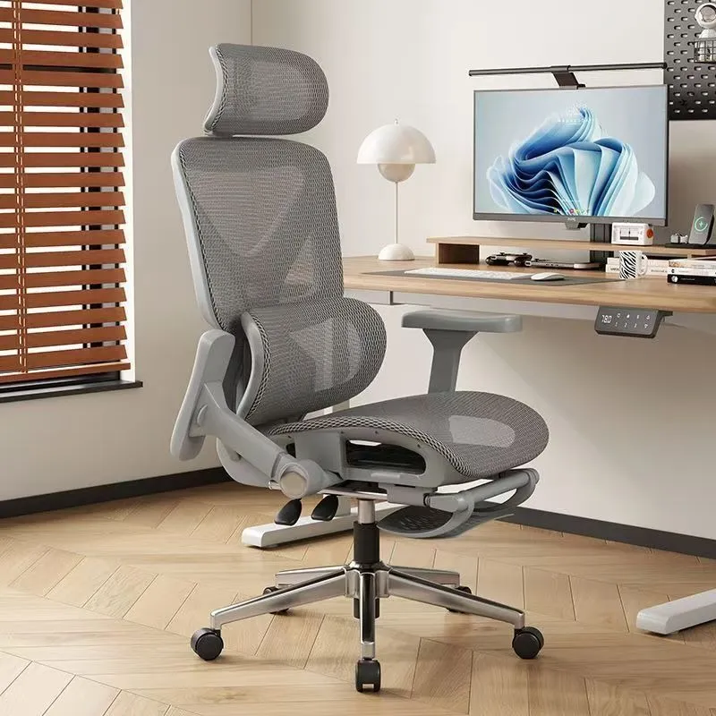 Ergonomic Office Chair with Lu - Home Office Chair review and price