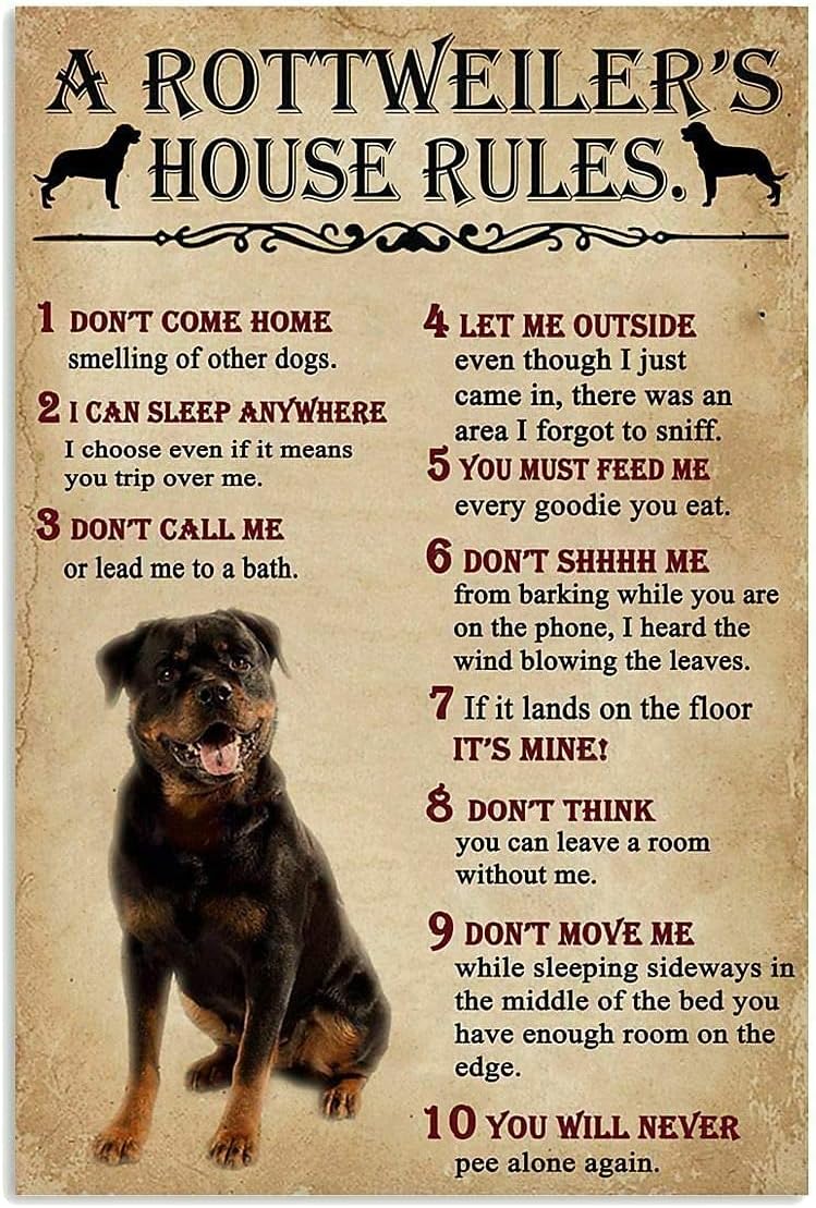 A Rottweiler;S House Rules Met - Home Office New Rules review and price