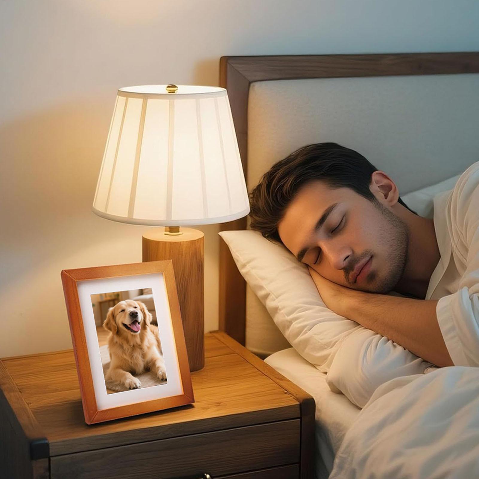 Portable Photo Frame Spacious  - Home Office Passport review and price