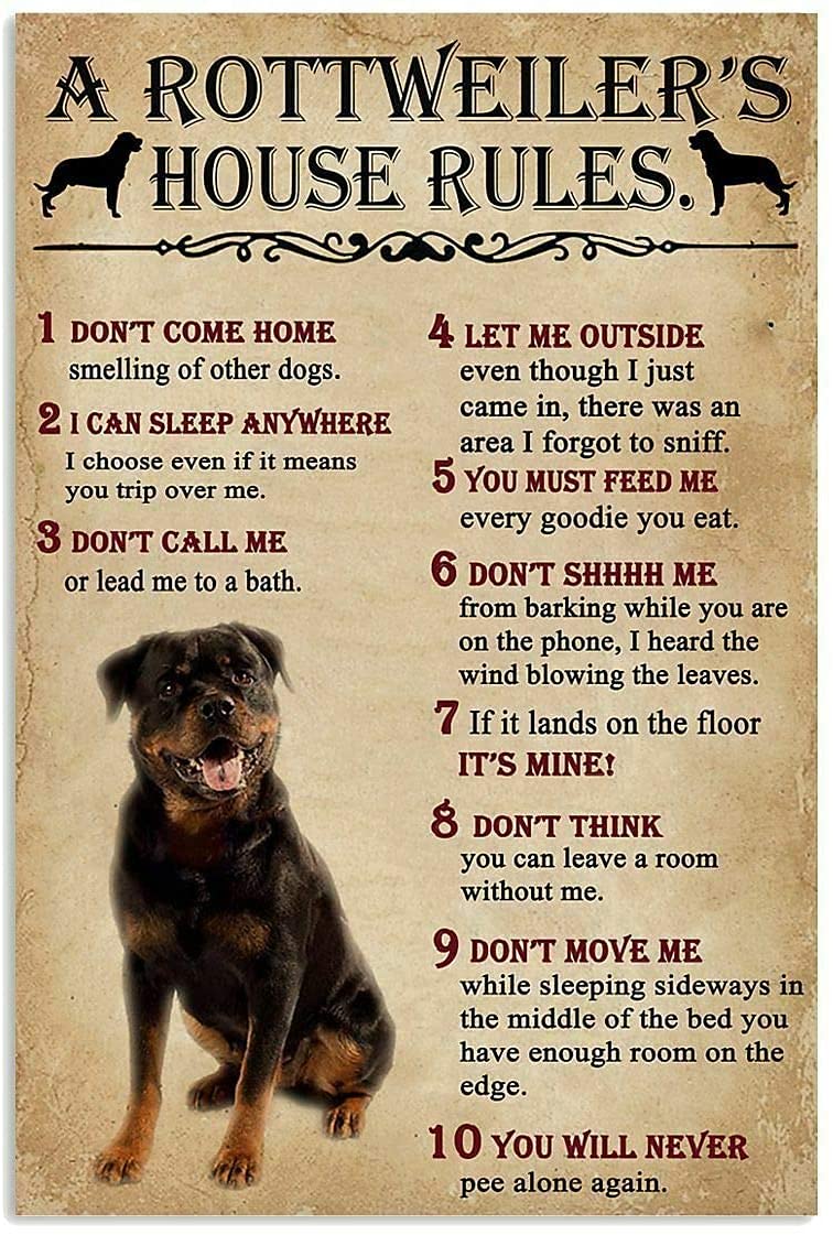A Rottweiler'S House Rules Met - Home Office New Rules review and price