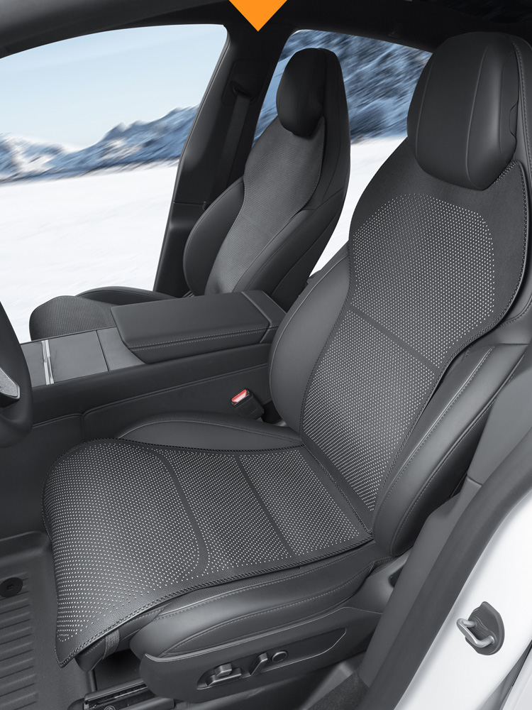 For 6-seater Tesla Model YL ca - Mesh Back Cushion review and price